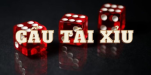 Tổng quan về cầu tài xỉu 009 casino