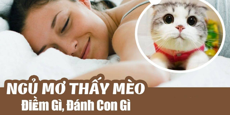 Ngụ Ý Và Tình Cảm Đằng Sau