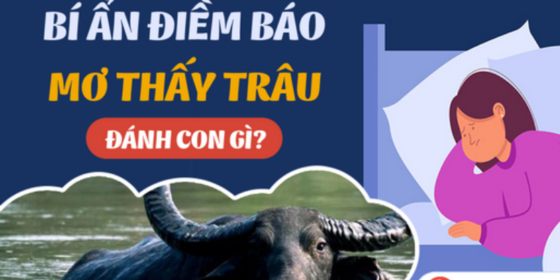 Ý Nghĩa Đằng Sau Hình Ảnh Trâu Đánh Con